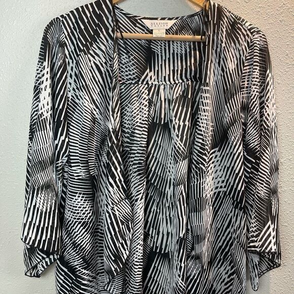 NWT Allison Taylor Women’s Top Size L - Picture 1 of 5